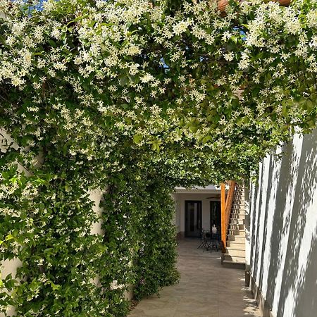 El Patio De Los Jazmines Boutique-House Консуегра Екстериор снимка